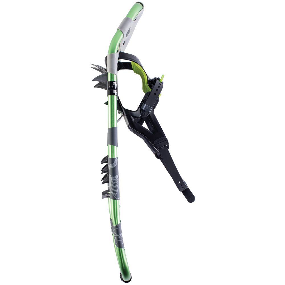 Mountaineer 36 Green